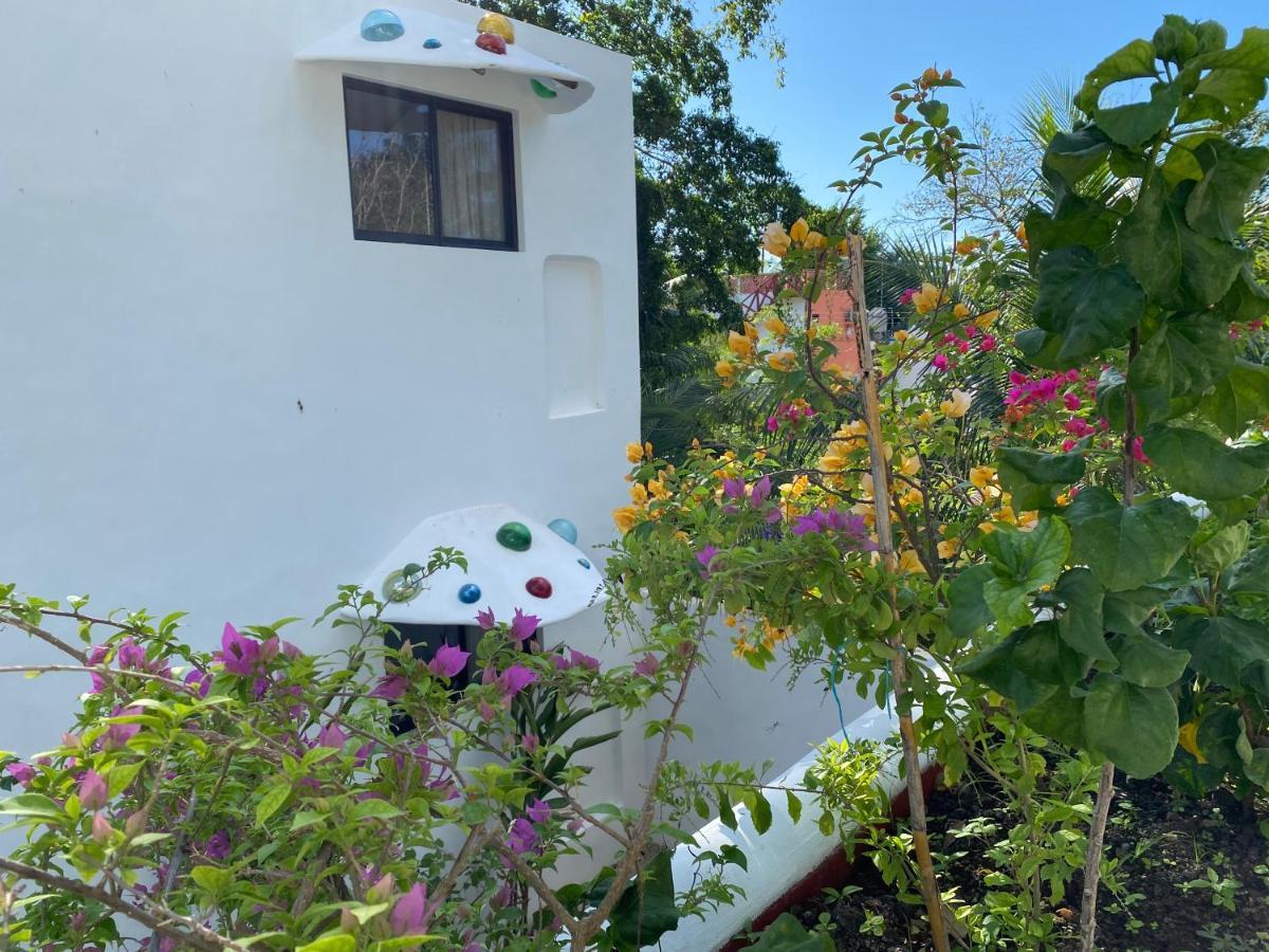 Maison Bacalar Dış mekan fotoğraf