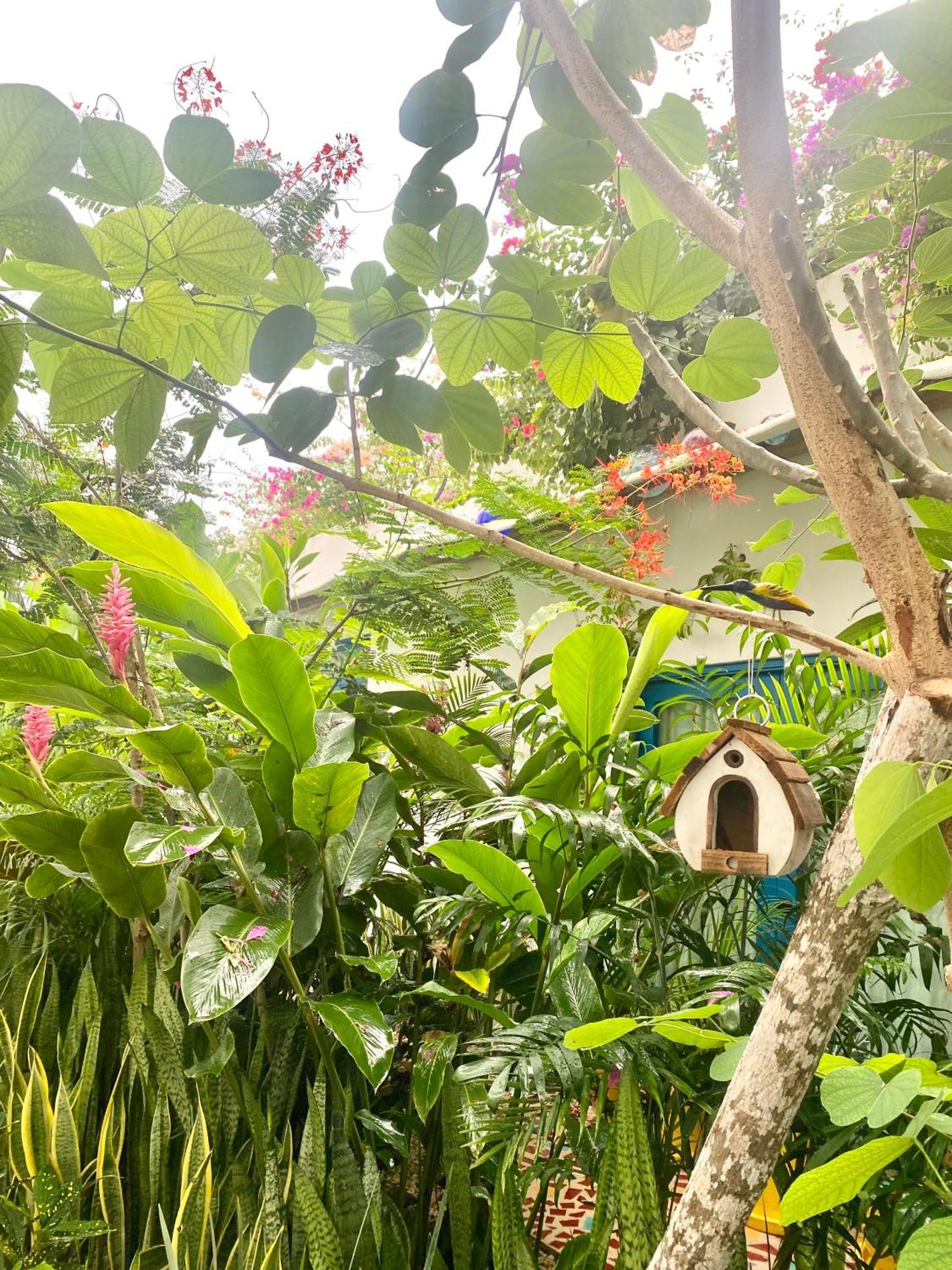 Maison Bacalar Dış mekan fotoğraf
