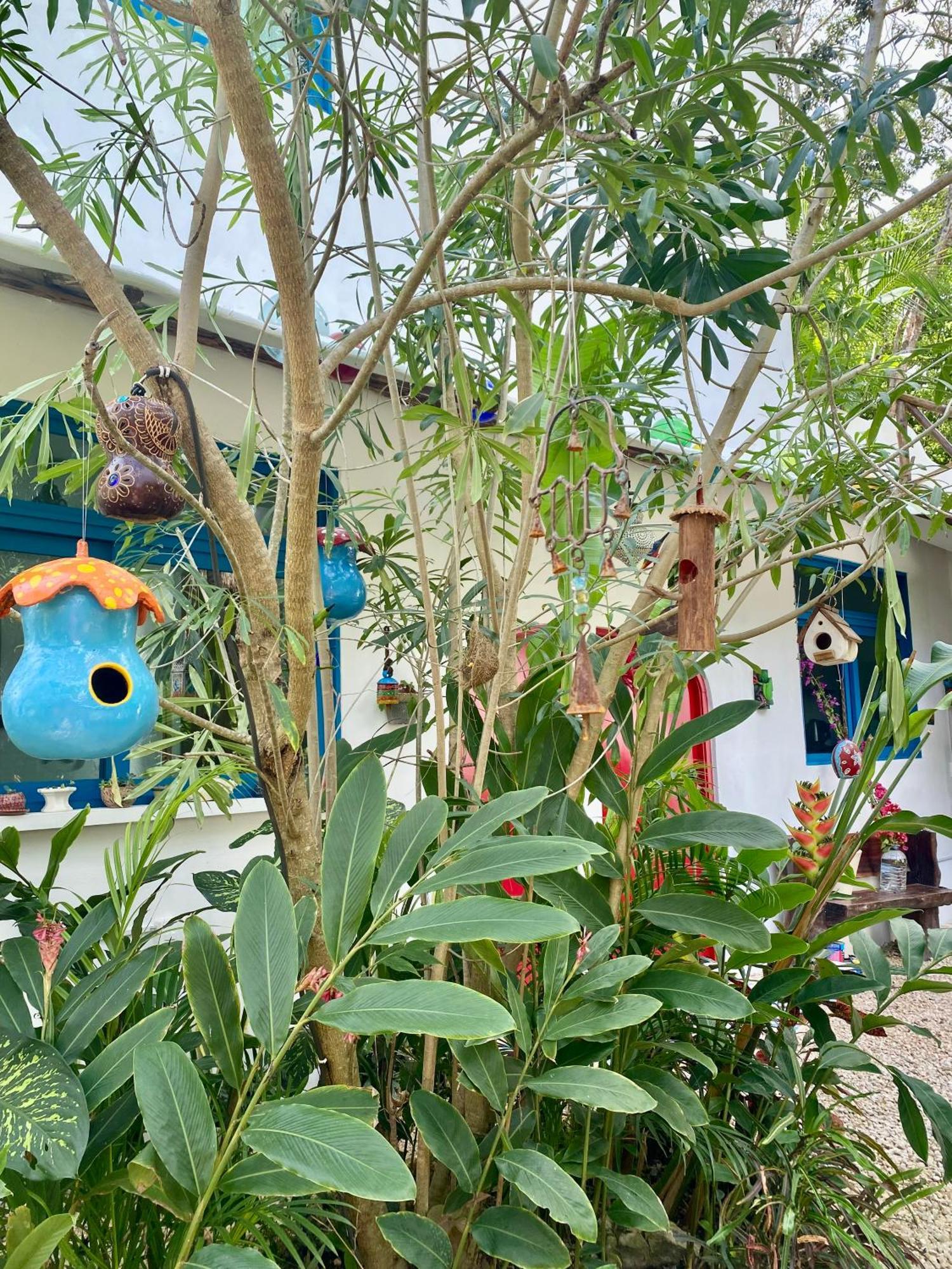 Maison Bacalar Dış mekan fotoğraf