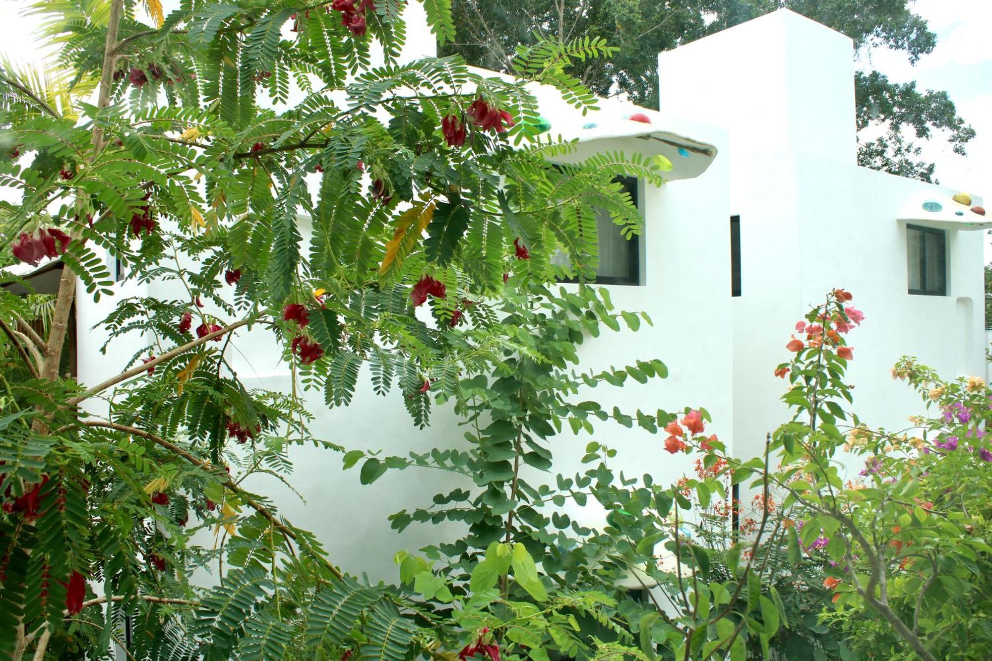 Maison Bacalar Dış mekan fotoğraf