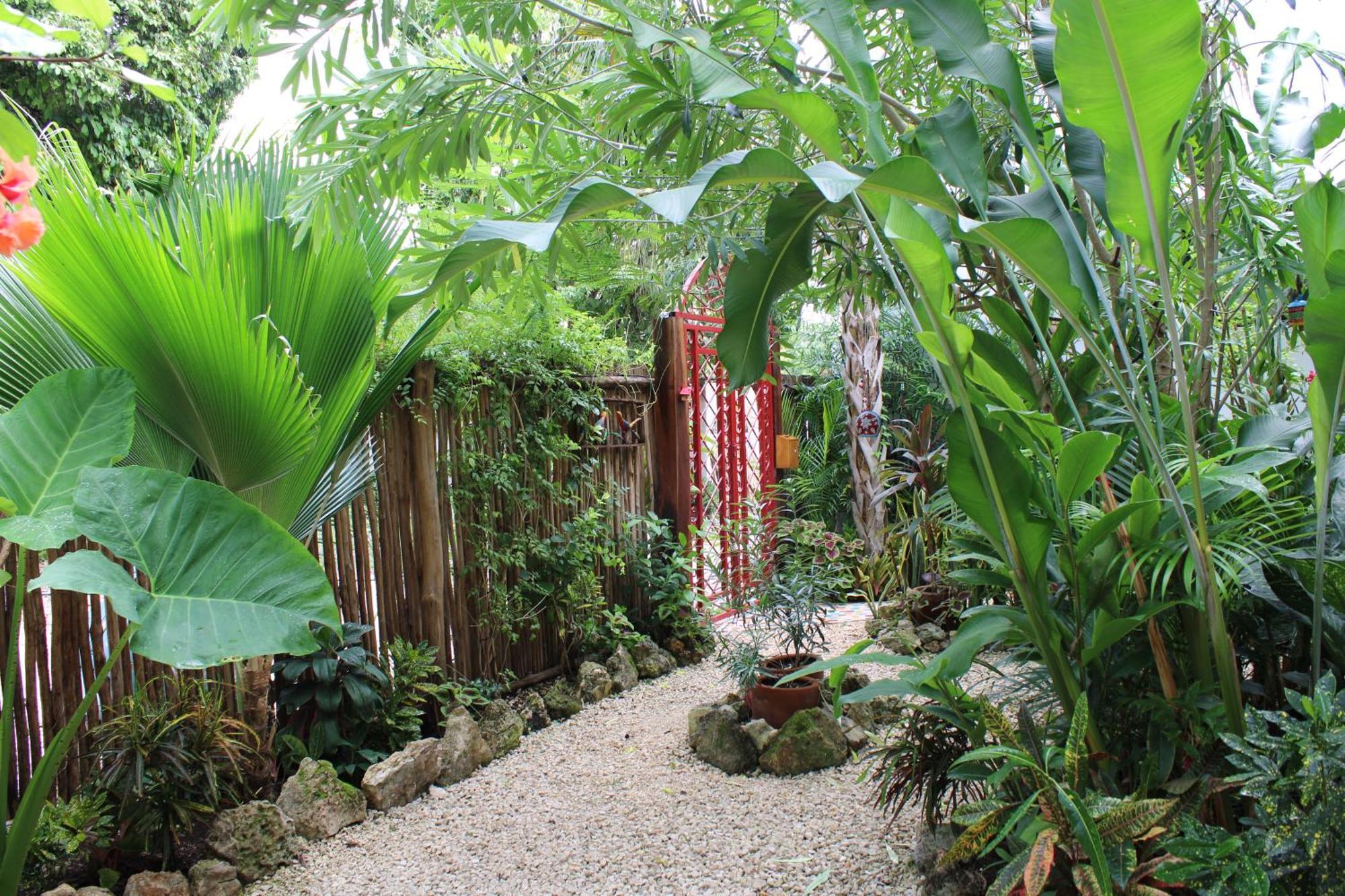 Maison Bacalar Dış mekan fotoğraf