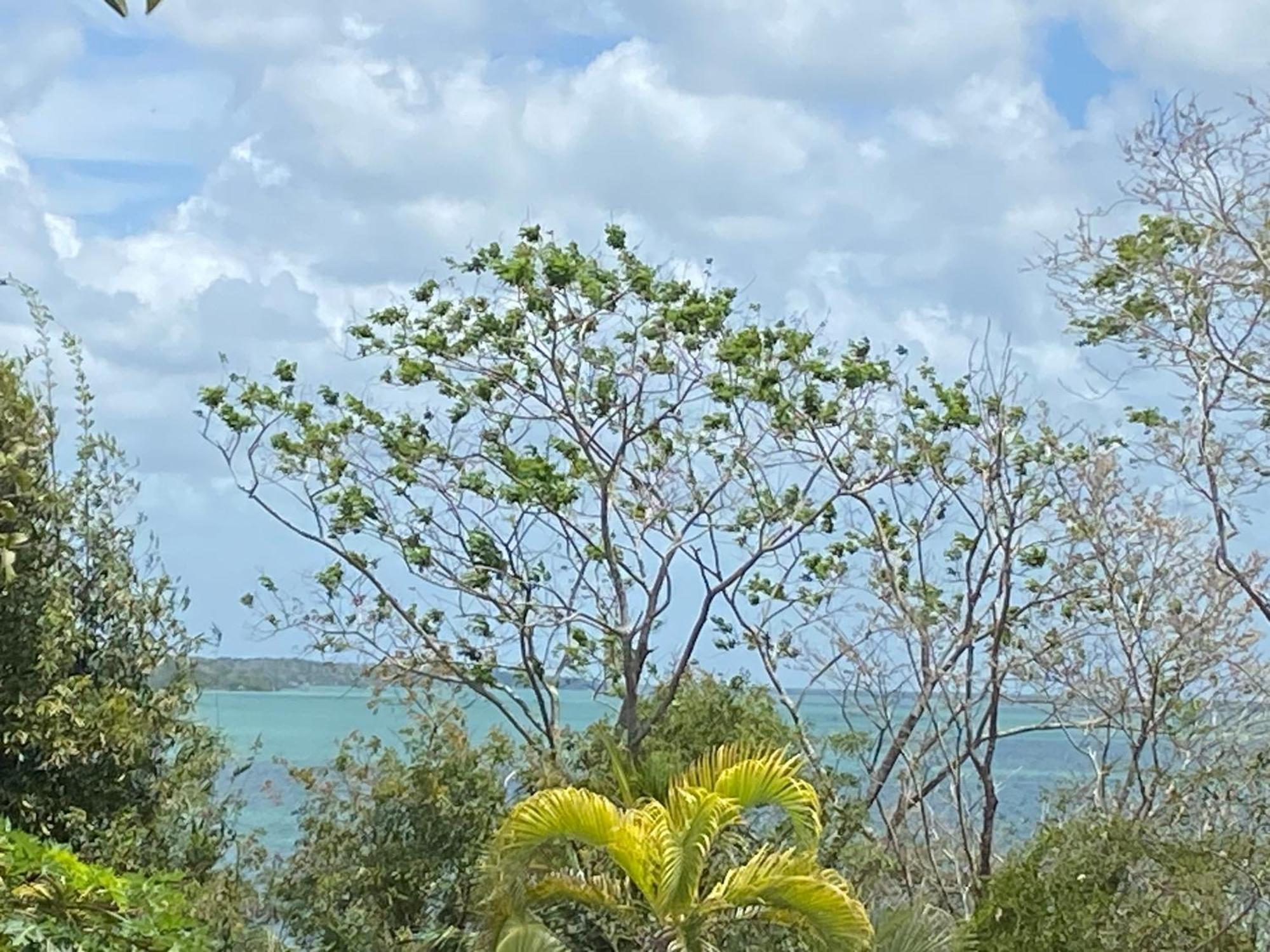 Maison Bacalar Dış mekan fotoğraf